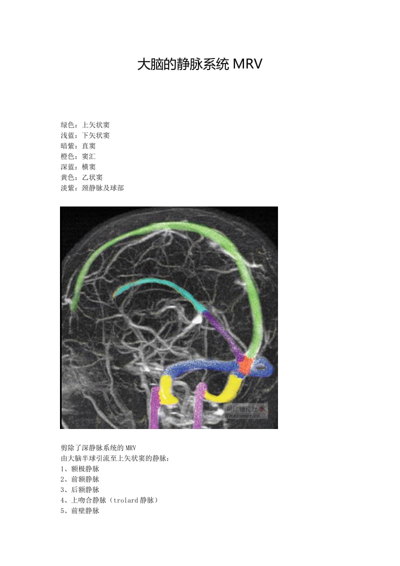大脑的静脉系统(MRV).doc_第1页