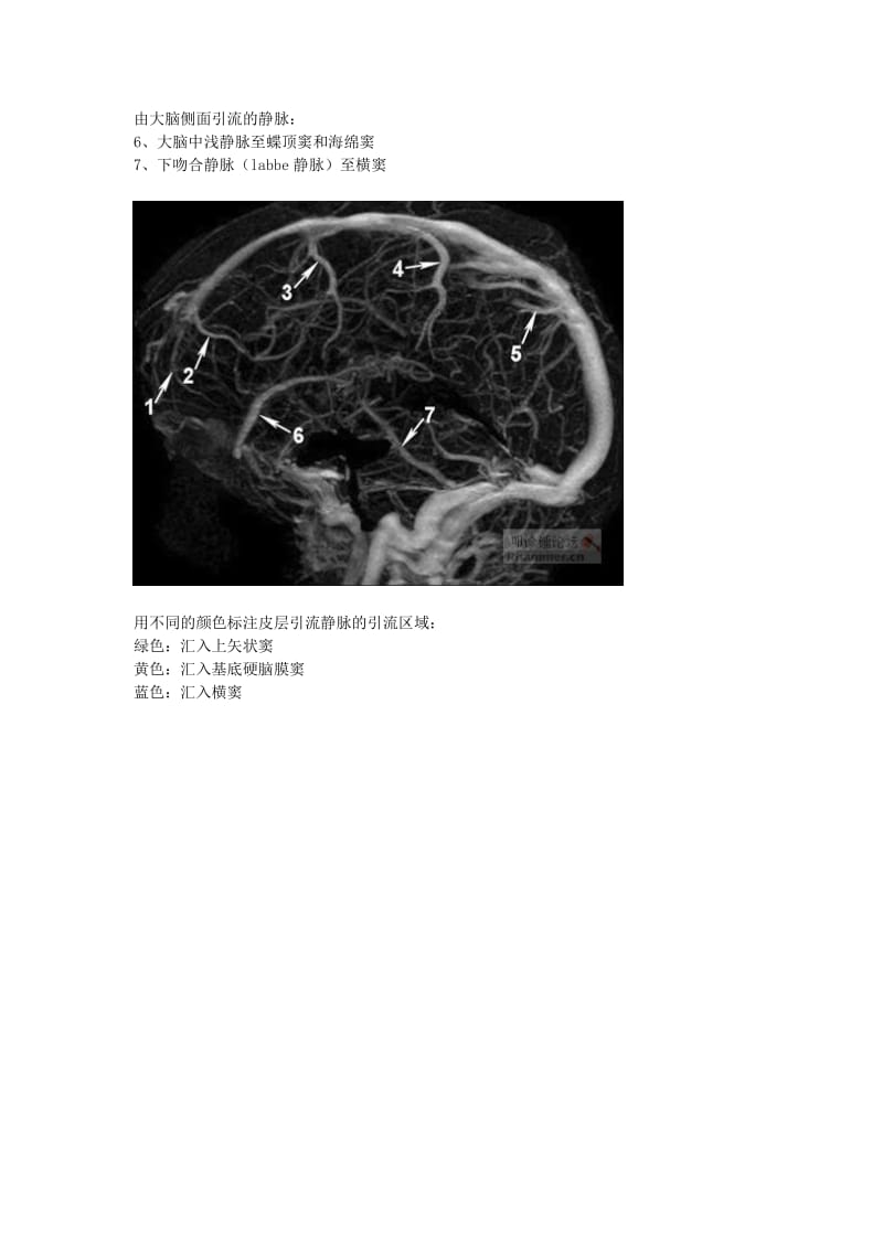 大脑的静脉系统(MRV).doc_第2页