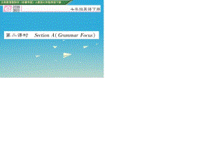 七年級(jí)英語(yǔ)下冊(cè) Unit 9 What does he look like（第2課時(shí)）Section A（Grammar Focus）課件 （新版）人教新目標(biāo)版.ppt