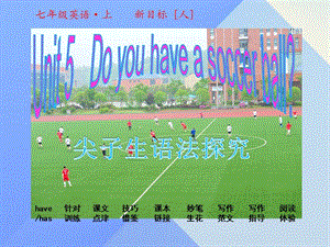 七年級(jí)英語上冊(cè) Unit 5 Do you have a soccer ball課件 （新版）人教新目標(biāo)版.ppt