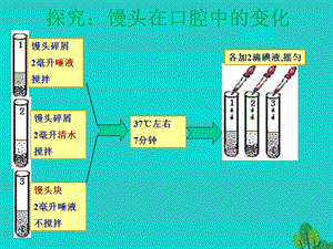 七年級(jí)生物下冊(cè) 4_2_2 消化和吸收課件 新人教版.ppt