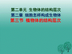 七年級(jí)生物上冊(cè) 2_2_3 植物體的結(jié)構(gòu)層次課件 （新版）新人教版.ppt