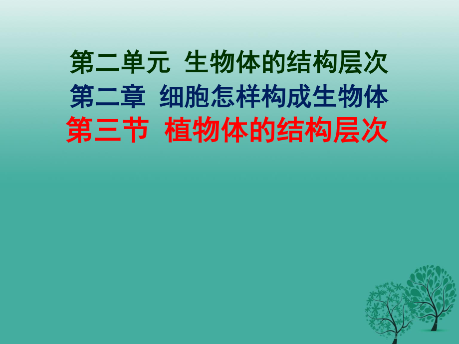 七年級(jí)生物上冊(cè) 2_2_3 植物體的結(jié)構(gòu)層次課件 （新版）新人教版.ppt_第1頁