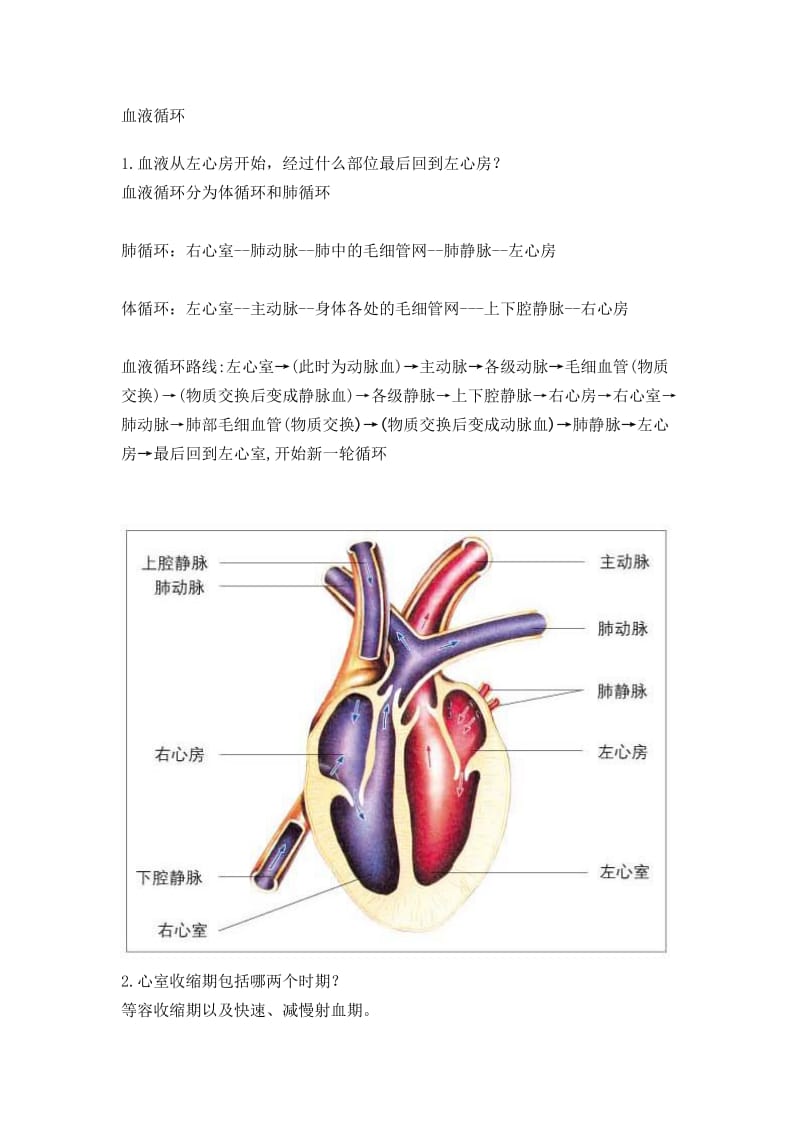 血液循环图片版.doc_第1页