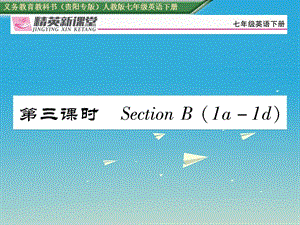 七年級(jí)英語下冊(cè) Unit 5 Why do you like pandas（第3課時(shí)）習(xí)題課件 （新版）人教新目標(biāo)版1.ppt