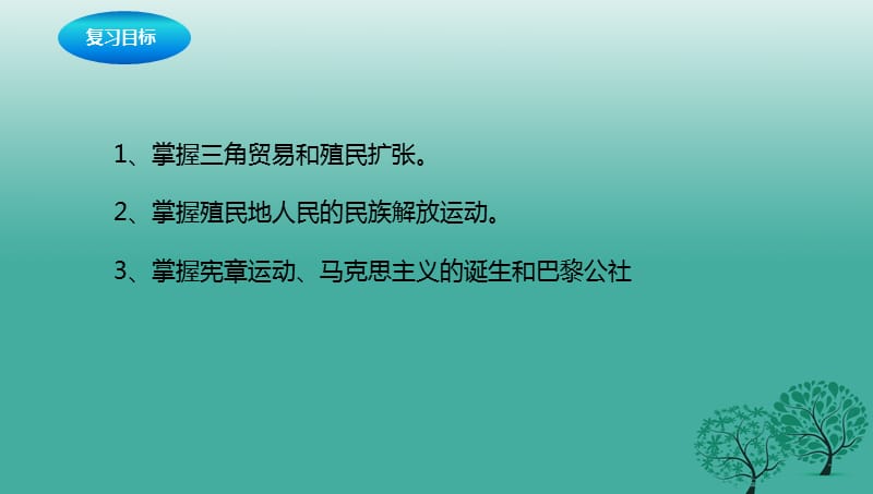 中考历史一轮专题复习 殖民扩张与殖民地人民的抗争及无产阶级的斗争课件1.ppt_第2页