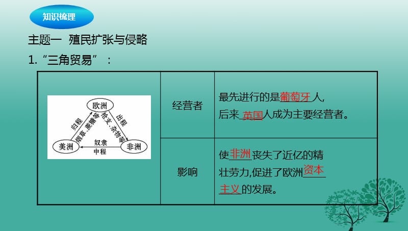 中考历史一轮专题复习 殖民扩张与殖民地人民的抗争及无产阶级的斗争课件1.ppt_第3页