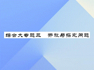 中考數(shù)學 第三輪 專題突破 挑戰(zhàn)滿分 綜合大專題三 開放與研究問題課件 新人教版.ppt