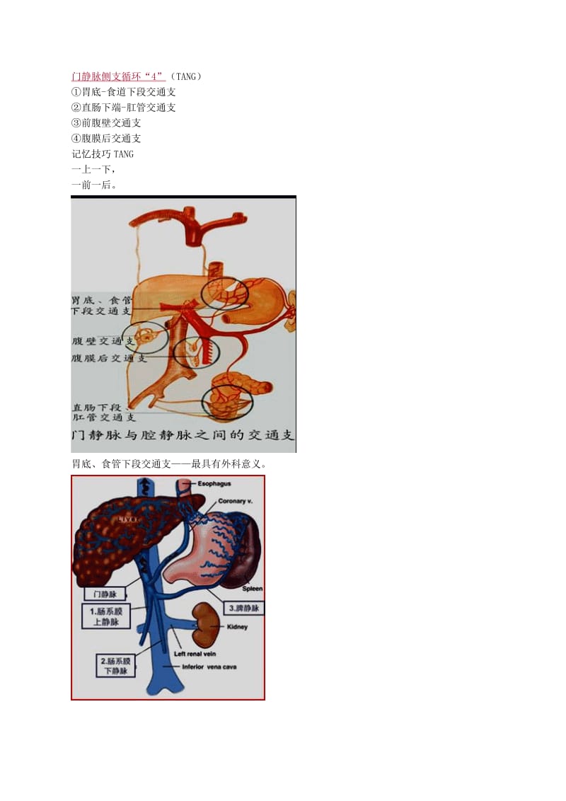 门静脉高压症病人的护理精华版.doc_第3页