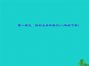 中考政治總復(fù)習(xí) 主題二 法律教育 第一單元 權(quán)利義務(wù)伴我行（八下）課件 新人教版.ppt