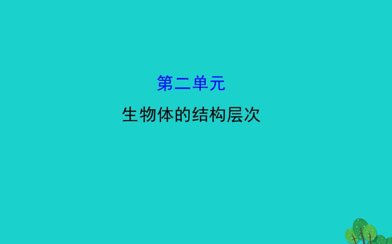 七年級生物上期末復(fù)習(xí) 第二單元 生物體的結(jié)構(gòu)層次課件 （新版）新人教版.ppt_第1頁