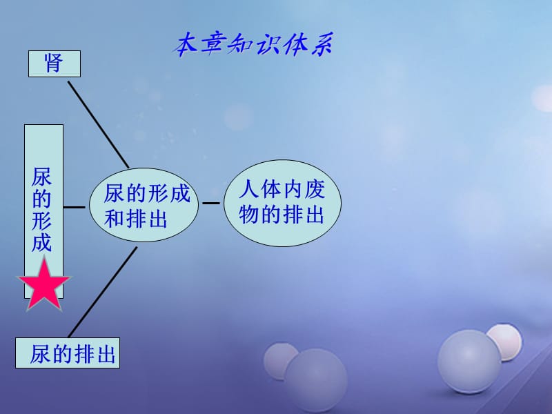 七年级生物下册 第五章 人体内废物的排出复习课件 （新版）新人教版.ppt_第2页