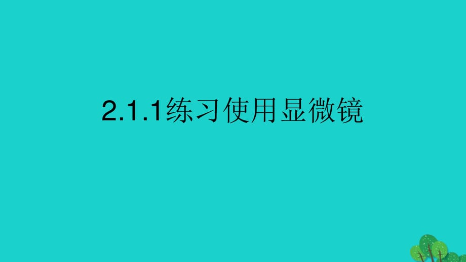 七年級生物上冊 第二單元 第一章 第一節(jié) 練習(xí)使用顯微鏡課件 （新版）新人教版.ppt_第1頁