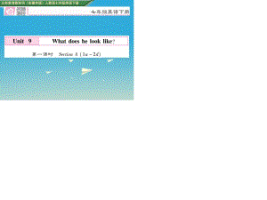 七年級(jí)英語(yǔ)下冊(cè) Unit 9 What does he look like（第1課時(shí)）Section A（1a-2d）課件 （新版）人教新目標(biāo)版 (2).ppt