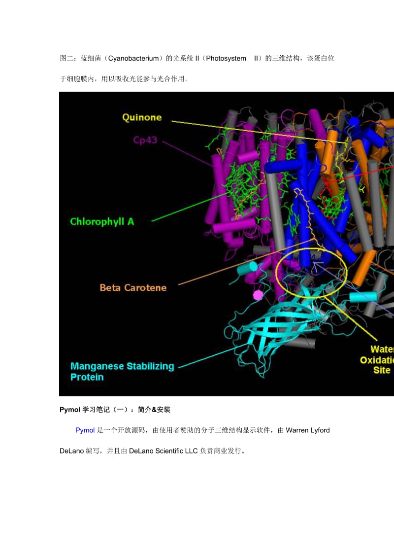 蛋白质作图软件pymol教程Pymol学习笔记.doc_第3页