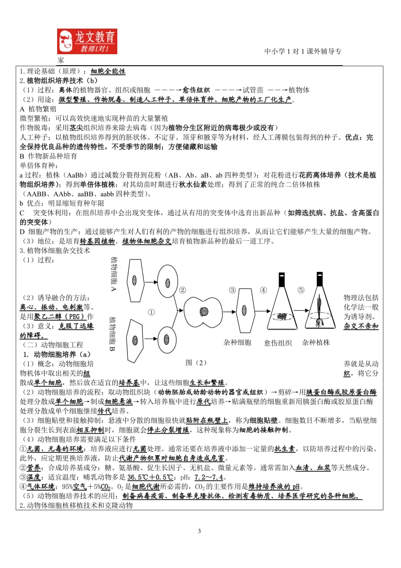 生物专题十三授课新模板.doc_第3页