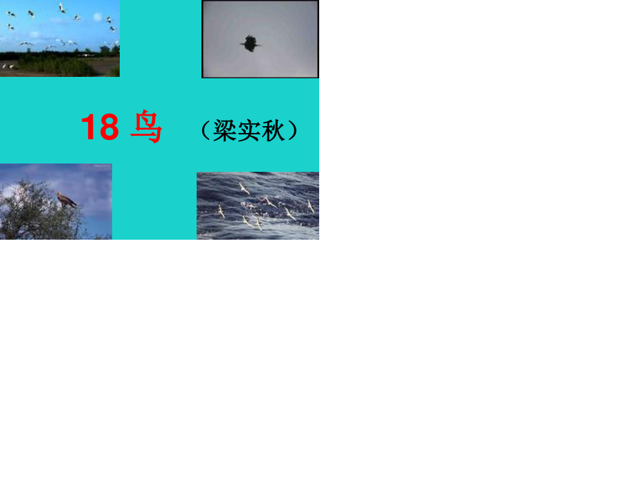 七年级语文上册 18《鸟》课件 新人教版 (3).ppt_第1页