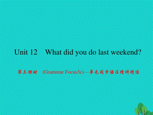 七年級英語下冊 Unit 12 What did you do last weekend（第3課時）(Grammar Focus-3c)同步語法精講精練課件 （新版）人教新目標版.ppt