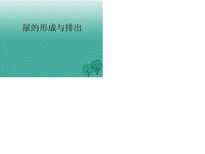 七年級生物下冊 4_5_1 尿的形成和排出課件 （新版）新人教版.ppt