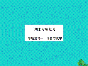 七年级语文上册 专项复习（一）语音与汉字课件 苏教版.ppt