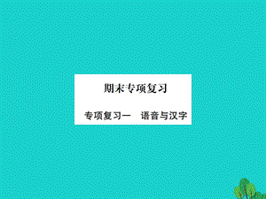 七年級語文上冊 專項復習（一）語音與漢字課件 蘇教版.ppt