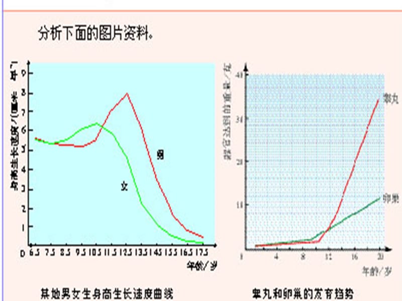 七年级生物下册 4_1_3 青春期课件 （新版）新人教版.ppt_第2页