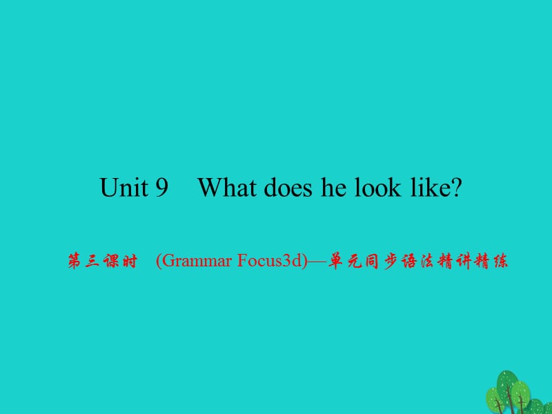 七年级英语下册 Unit 9 What does he look like（第3课时）(Grammar Focus-3d)同步语法精讲精练课件 （新版）人教新目标版.ppt_第1页