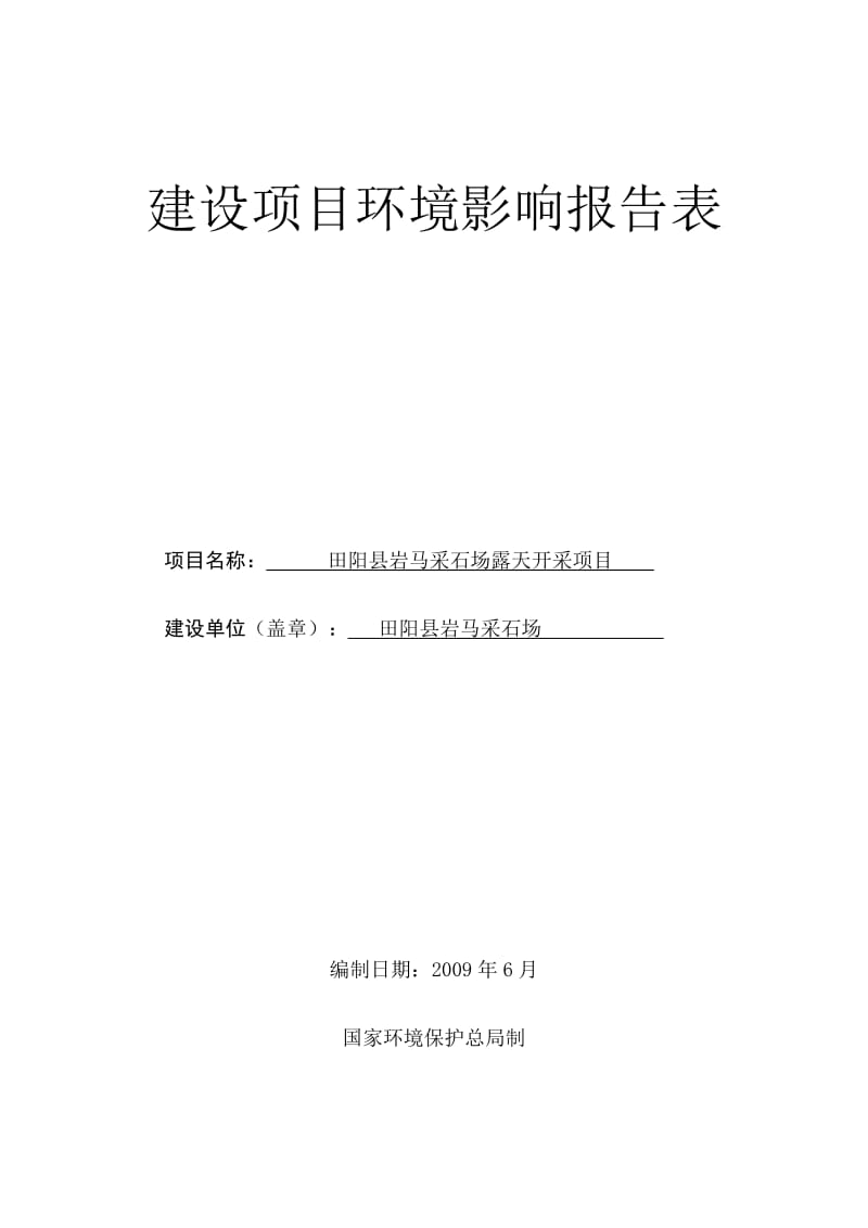 田阳县岩马采石场露天开采项目环境影响评价报告表.doc_第1页