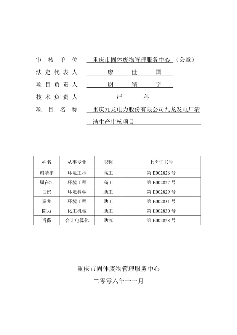 电厂清洁生产审核报告书.doc_第2页