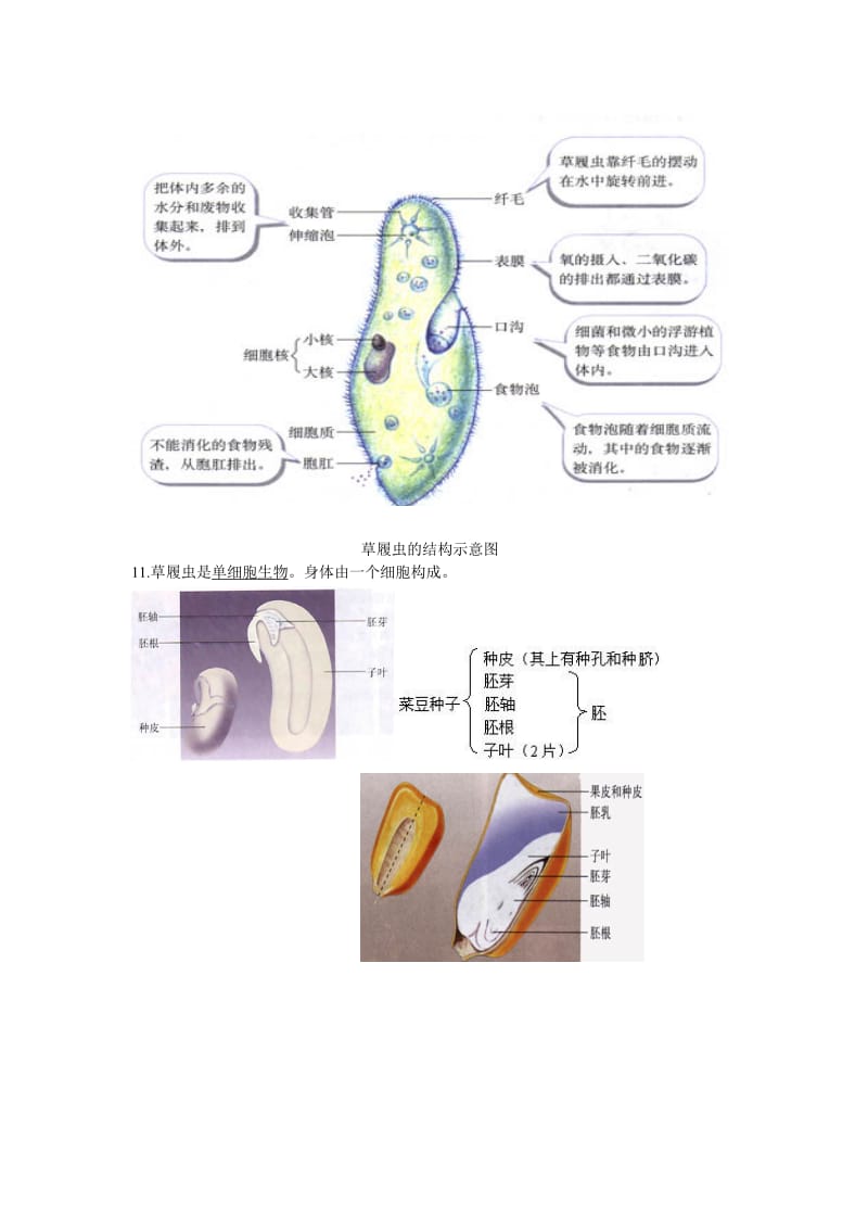 生地会考复习资料：初中生物图集附题目人教.doc_第2页