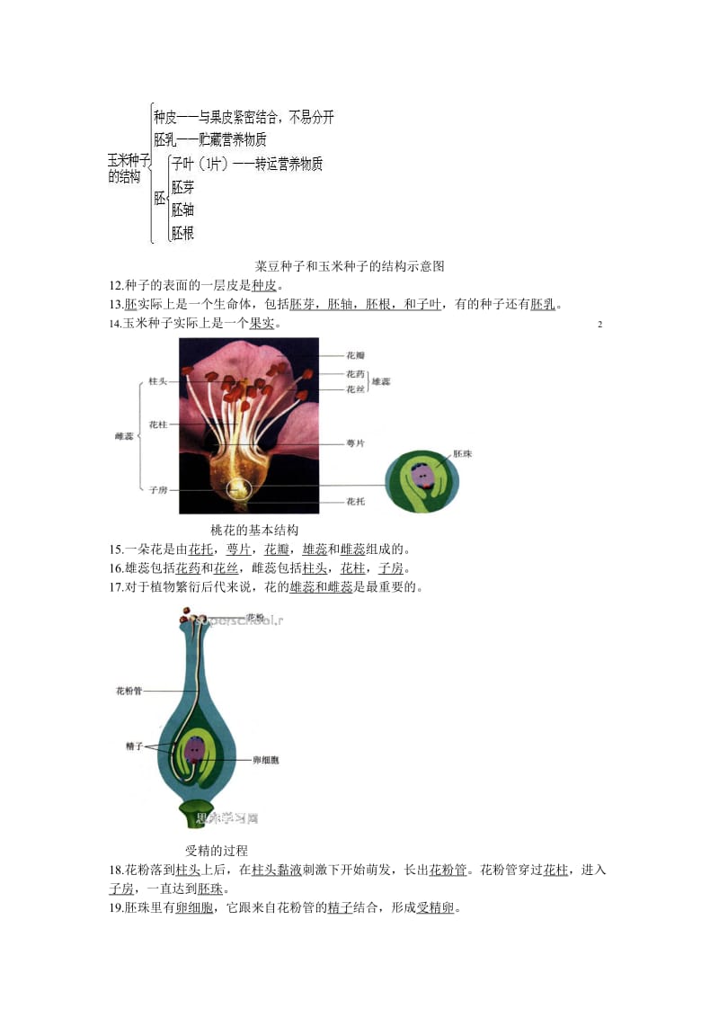 生地会考复习资料：初中生物图集附题目人教.doc_第3页