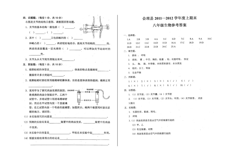 上期末八年级生物试卷.doc_第3页