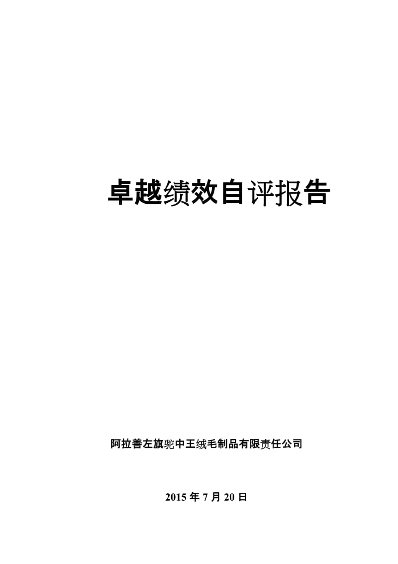 驼中王绒毛制品公司卓越绩效自评报告.doc_第1页