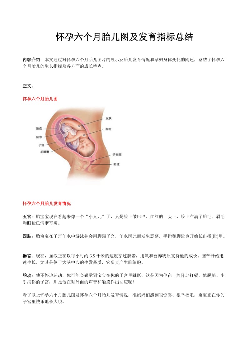 怀孕六个月胎儿图及发育指标总结.doc_第1页