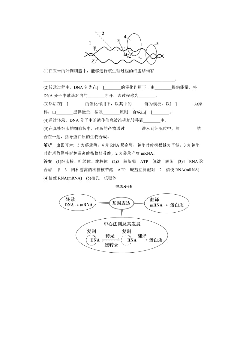 2013-2014高中生物 3.2.2 基因的表达随堂达标检测 中图版必修.doc_第2页