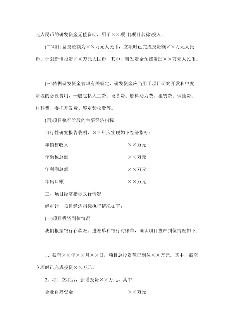 项目审计报告.doc_第2页