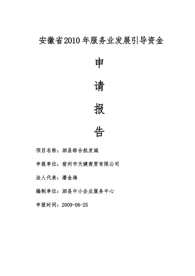 泗县综合批发城泗县综合批发城项目资金申请报告.doc_第1页