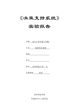 決策支持系統(tǒng)報告.doc