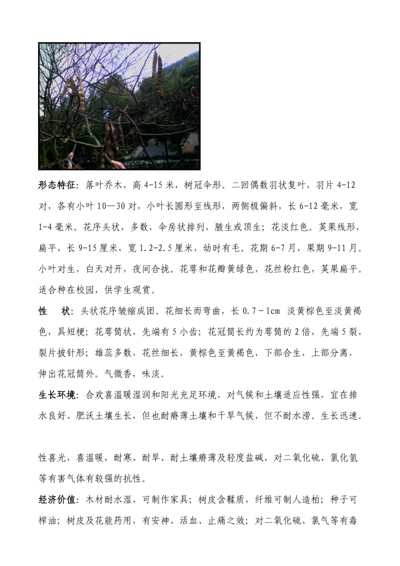 植物地理学实习报告.doc_第2页