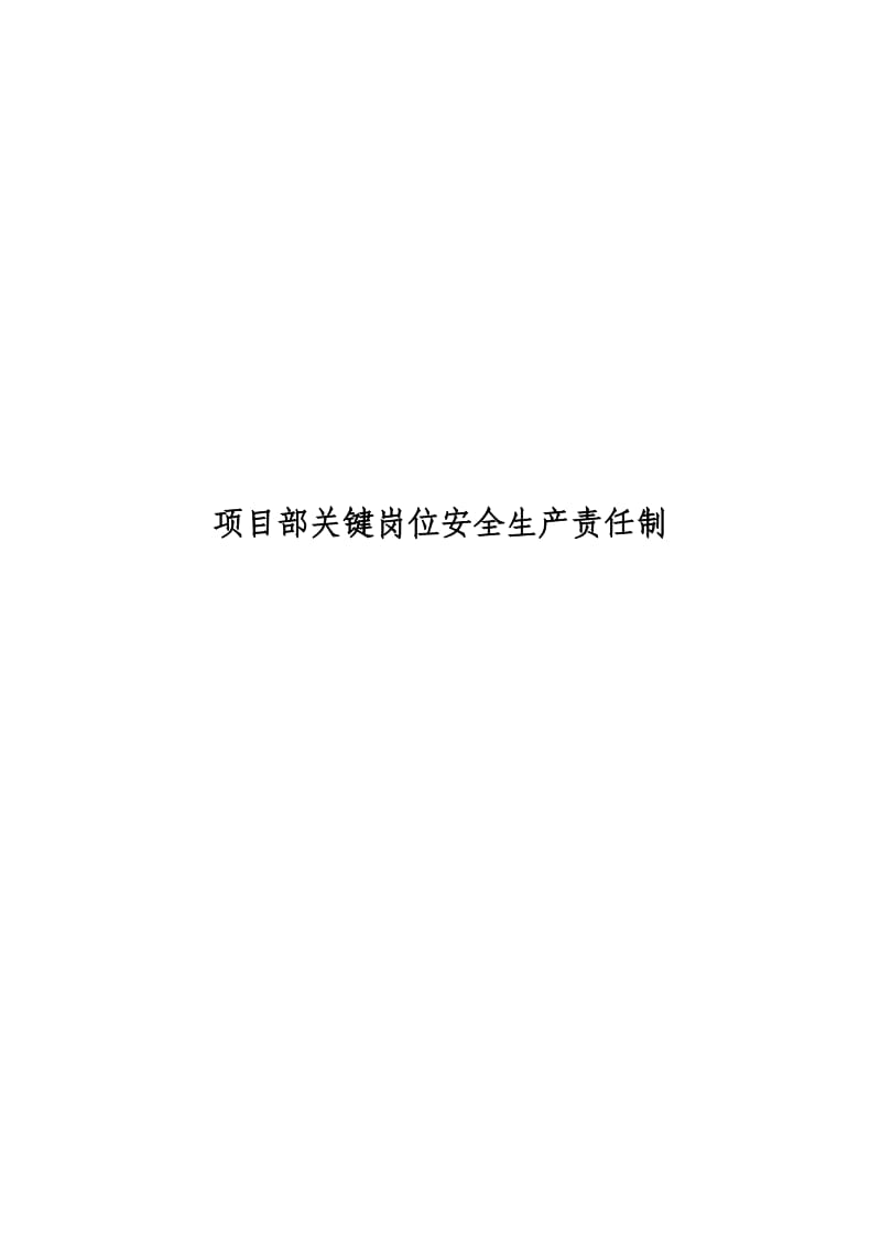 项目部关键岗位安全生产责任制.docx_第1页