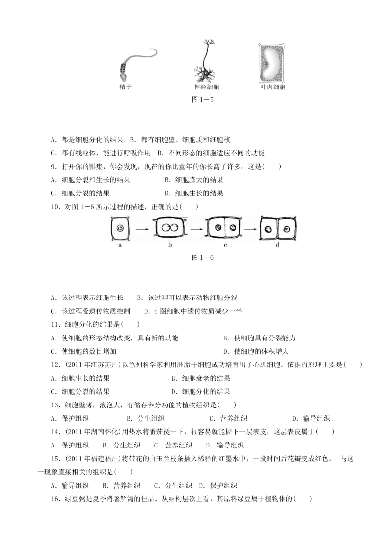 中考生物 备考训练 速提升 第1章 生物体的结构层次.doc_第2页