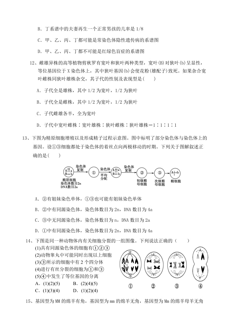 人教版试题试卷2010-2011学年下半学期聊城市高一生物.doc_第3页