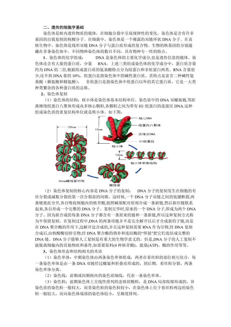 高中生物奥林匹克竞赛辅导专题讲座专题六细胞增殖与遗传.doc_第2页