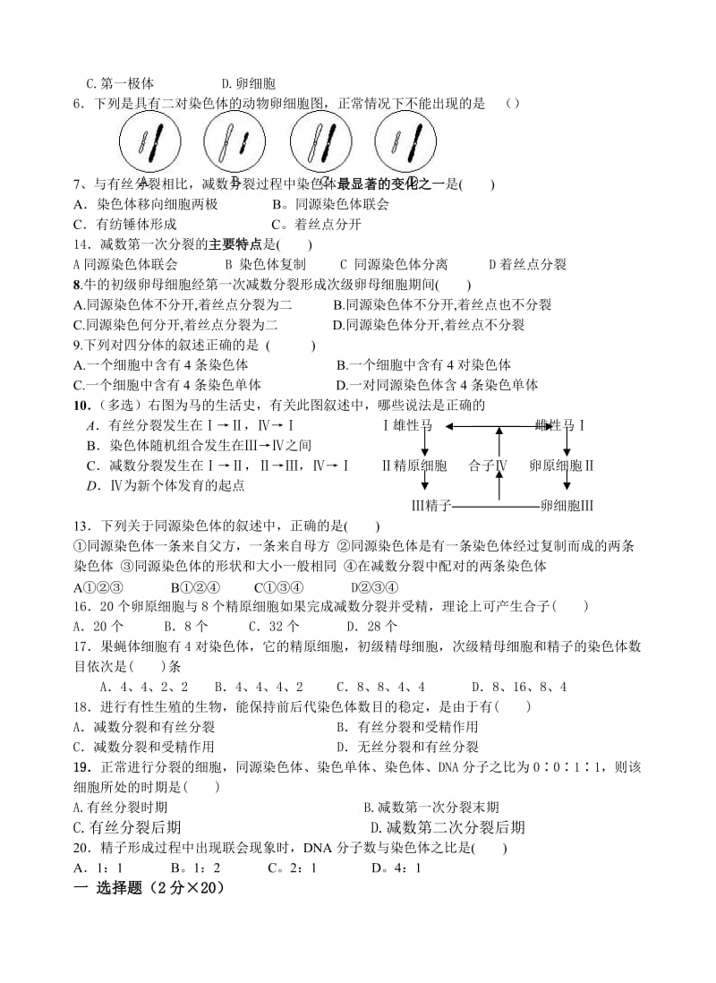 高中生物第2章基因和染色体的关系测试题必修.doc_第2页