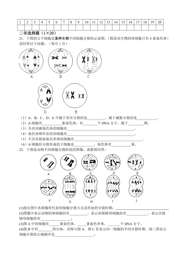 高中生物第2章基因和染色体的关系测试题必修.doc_第3页