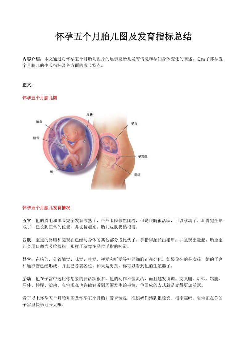 怀孕五个月胎儿图及发育指标总结.doc_第1页