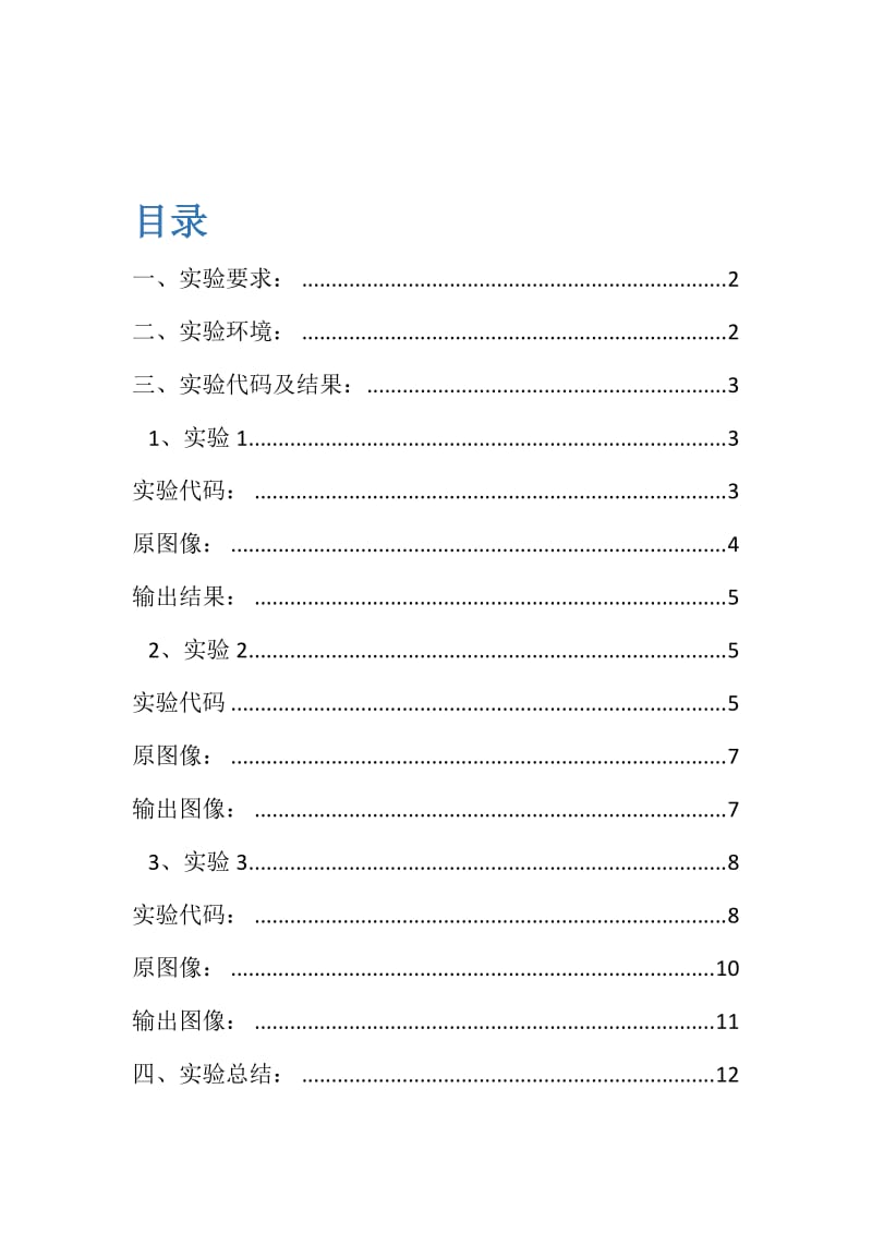 数字图像BMP实验报告.doc_第2页