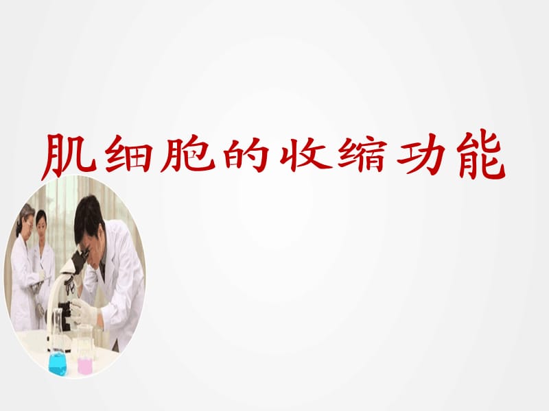 《肌细胞的收缩功能》ppt.ppt_第1页