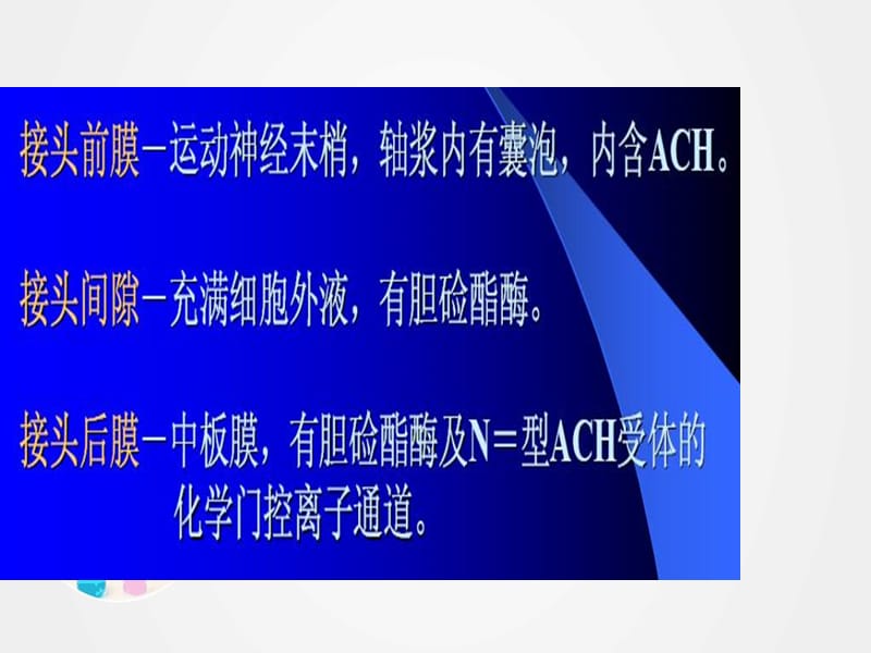 《肌细胞的收缩功能》ppt.ppt_第3页