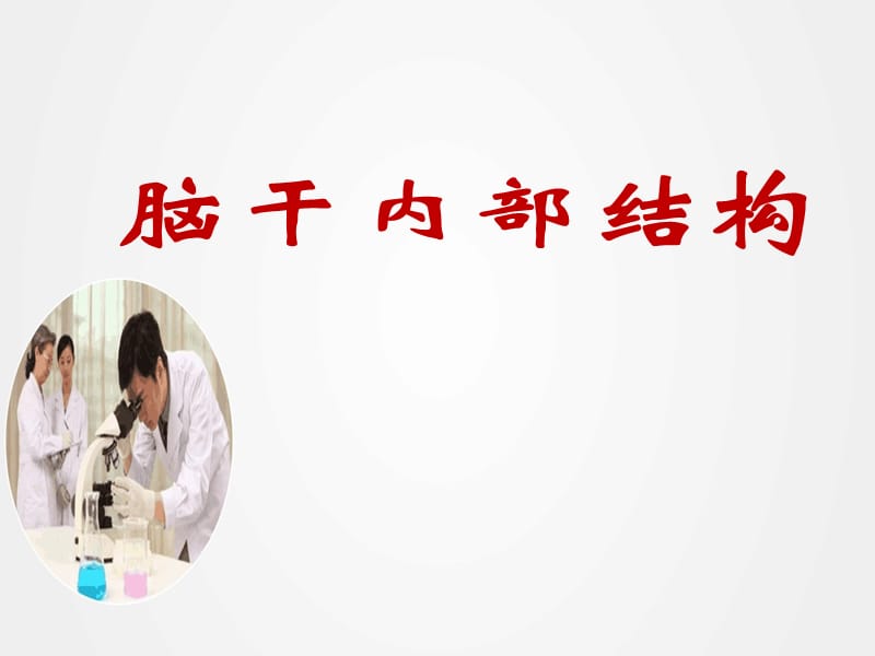 《局部解剖学脑干》ppt.ppt_第1页